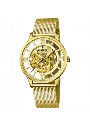 Montre festina f20667/1 or, homme